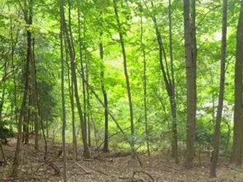 Property at L51 The Mall, Amsterdam, NY 12010