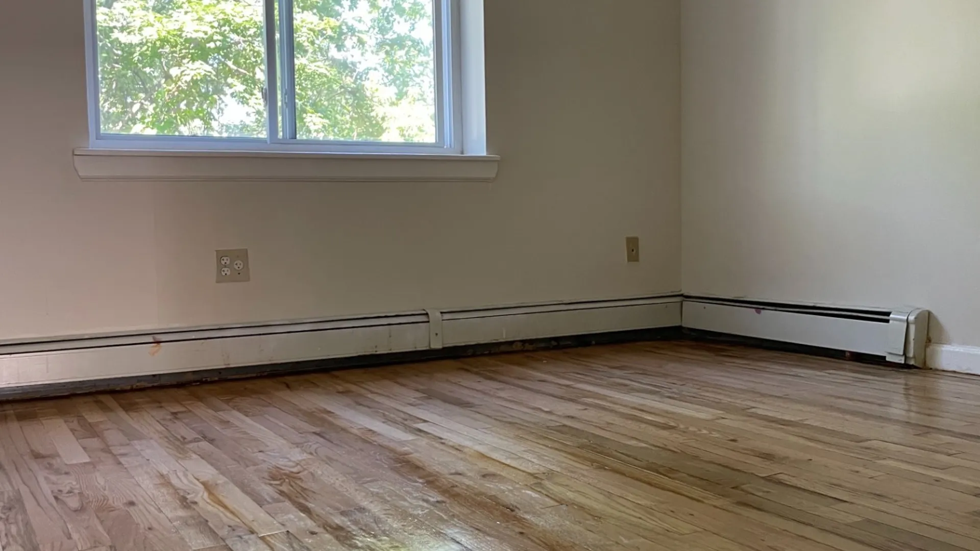 Property at 4334 Baychester Ave, Bronx, NY 10466 13