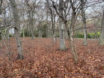 Property at 20 CENTRAL AVE, East Hampton, NY 11937