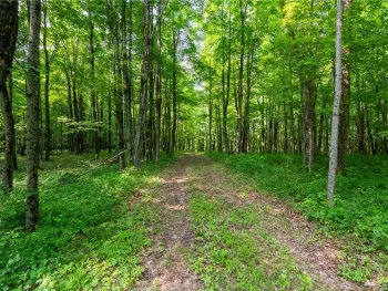 Property at Cummings Road, Sandy Creek, NY 13083