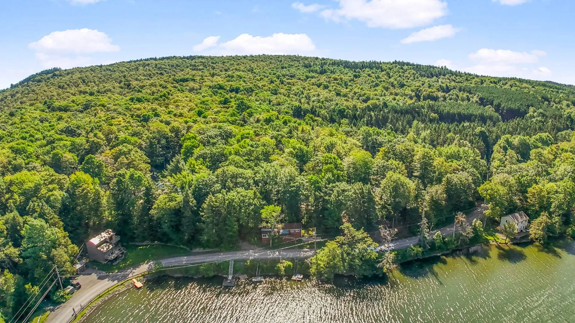 Property at 342 Bear Gulch Rd, Summit, NY 12175 10