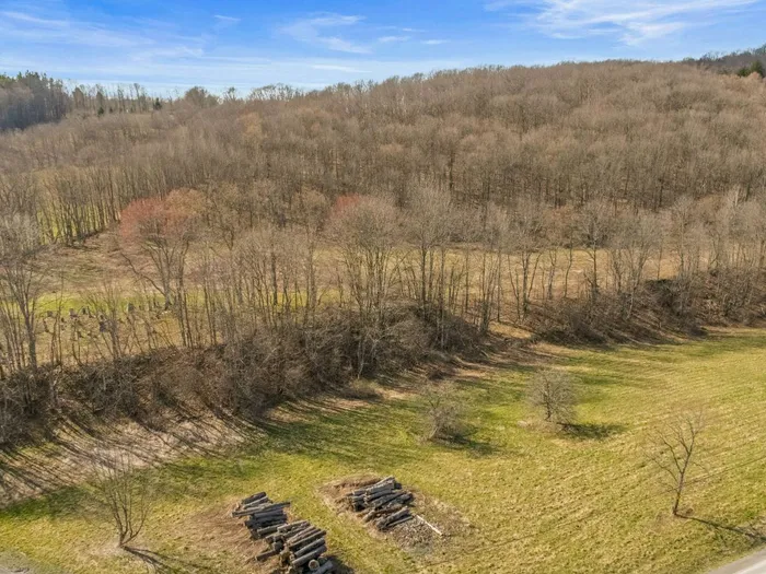 L9.111 Lutheranville Rd, Summit, NY 12175