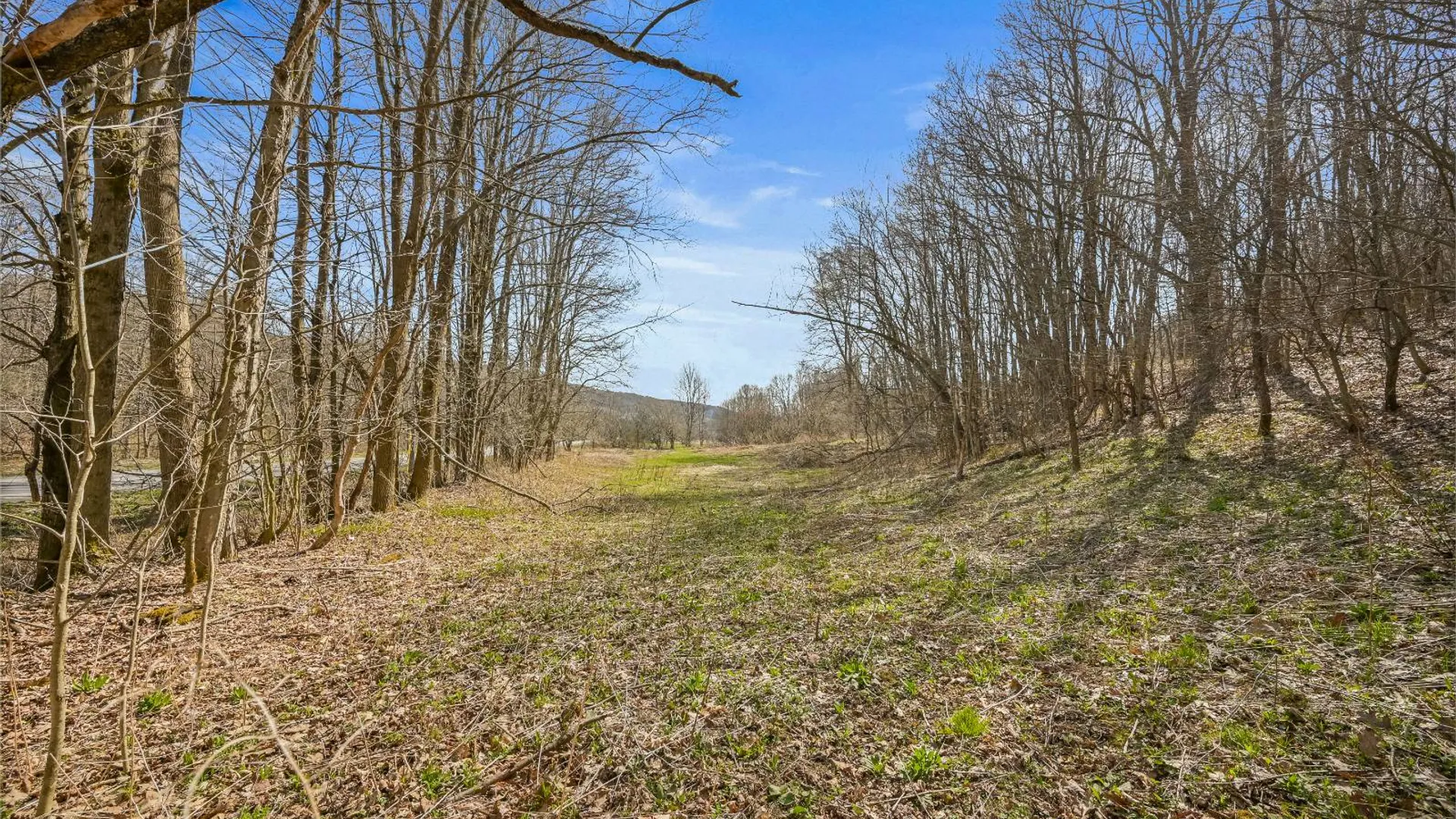 Property at L9.111 Lutheranville Rd, Summit, NY 12175 21