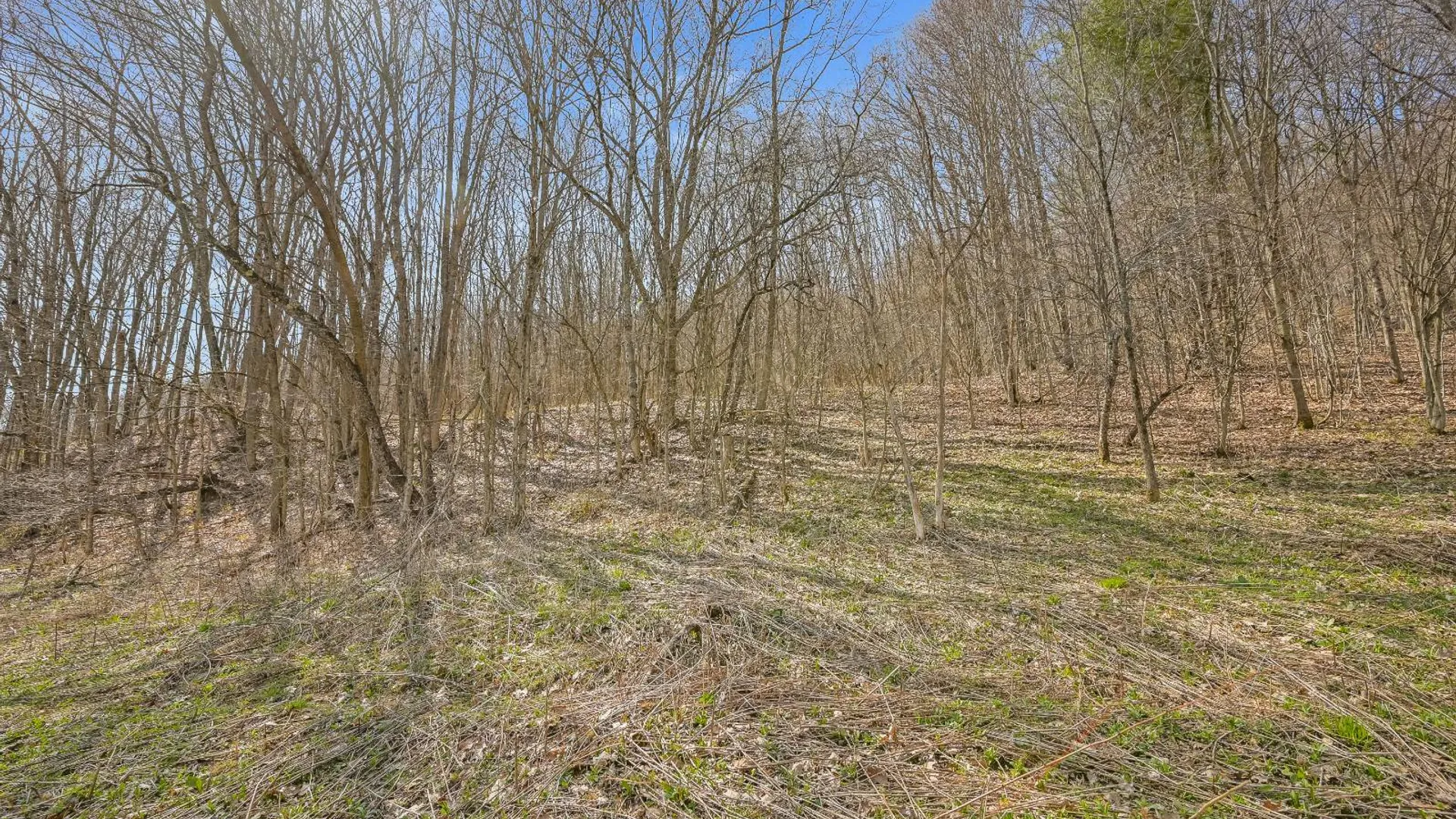 Property at L9.112 Lutheranville Rd, Summit, NY 12175 2