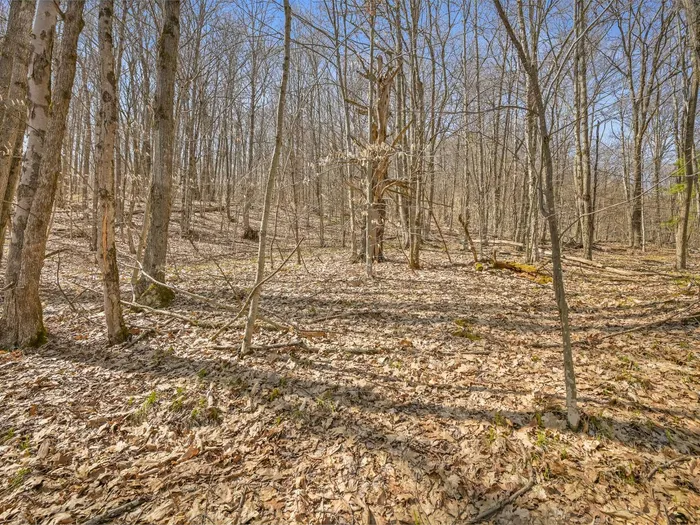L9.113 Lutheranville Rd, Summit, NY 12175