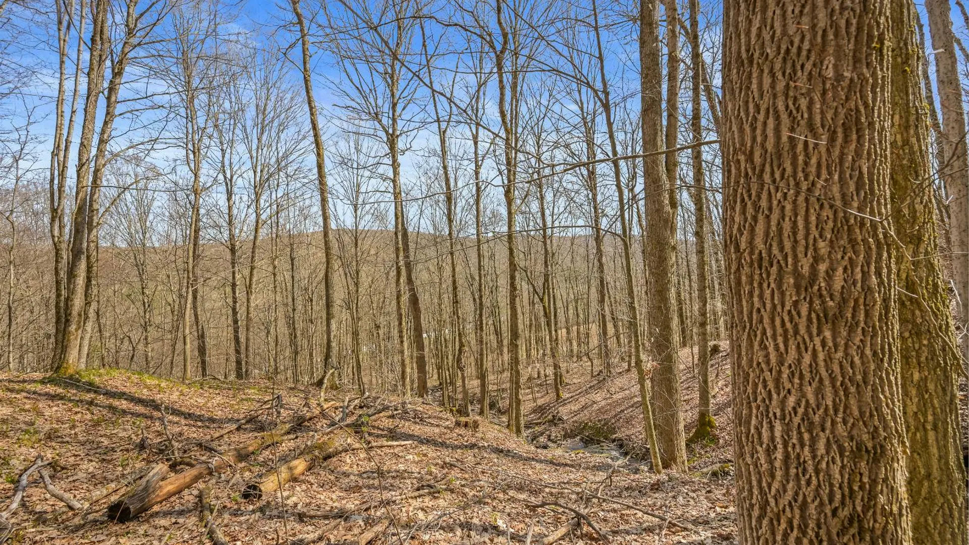 Property at L9.113 Lutheranville Rd, Summit, NY 12175 5