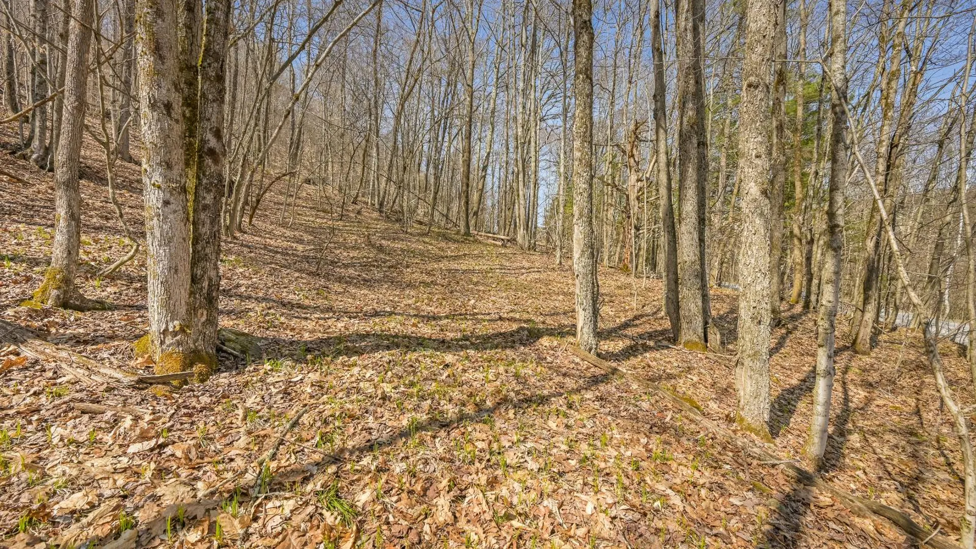 Property at L9.113 Lutheranville Rd, Summit, NY 12175 6
