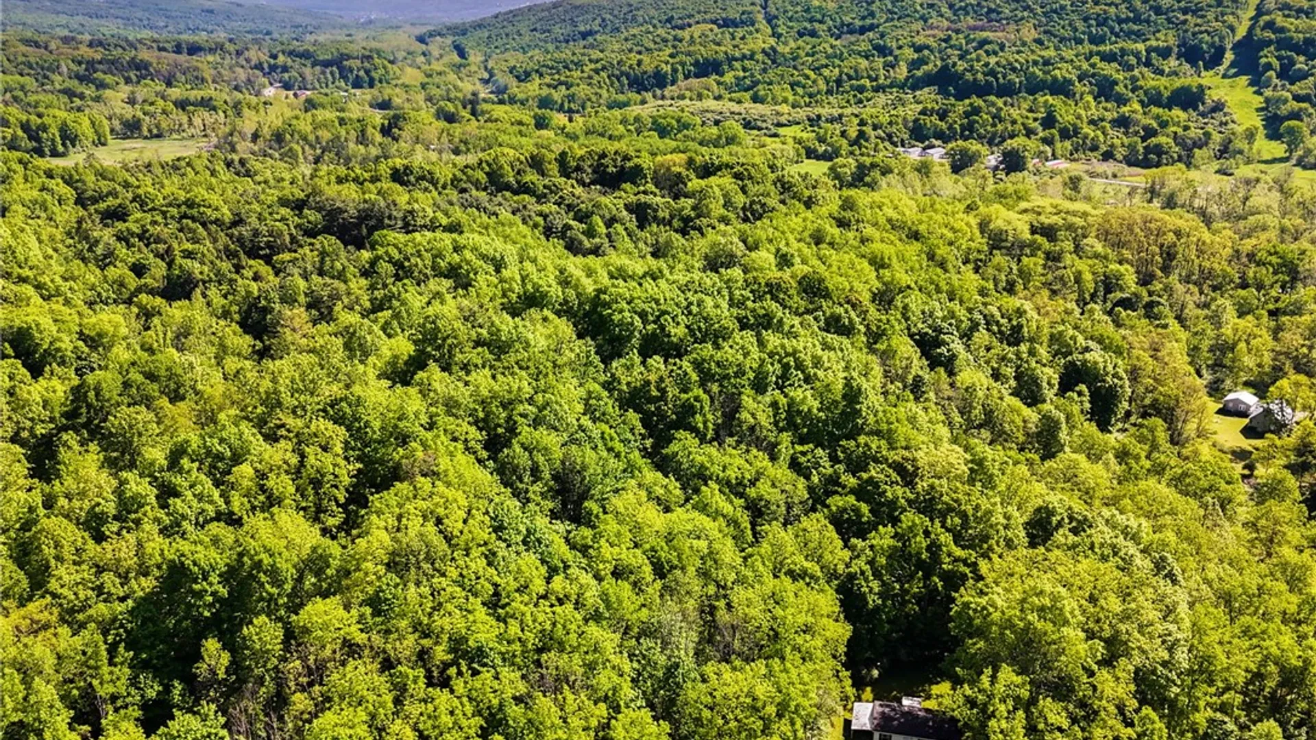 Property at 426 North Way, Newfield, NY 14867 34