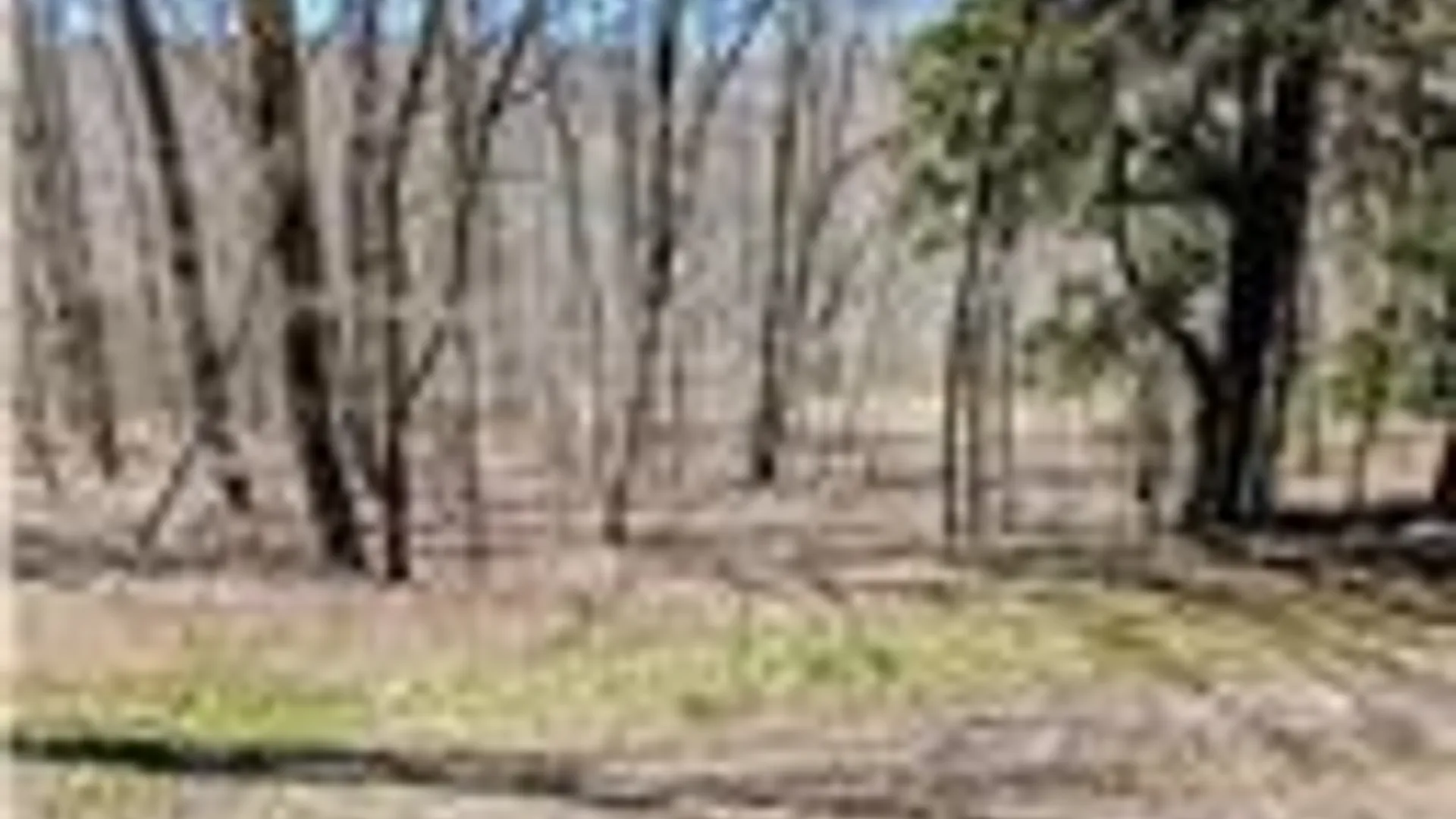 Property at 198 Spring Run Road, Norwich, PA 16750 4