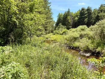 Copes Corners Road, Butternuts, NY 13776