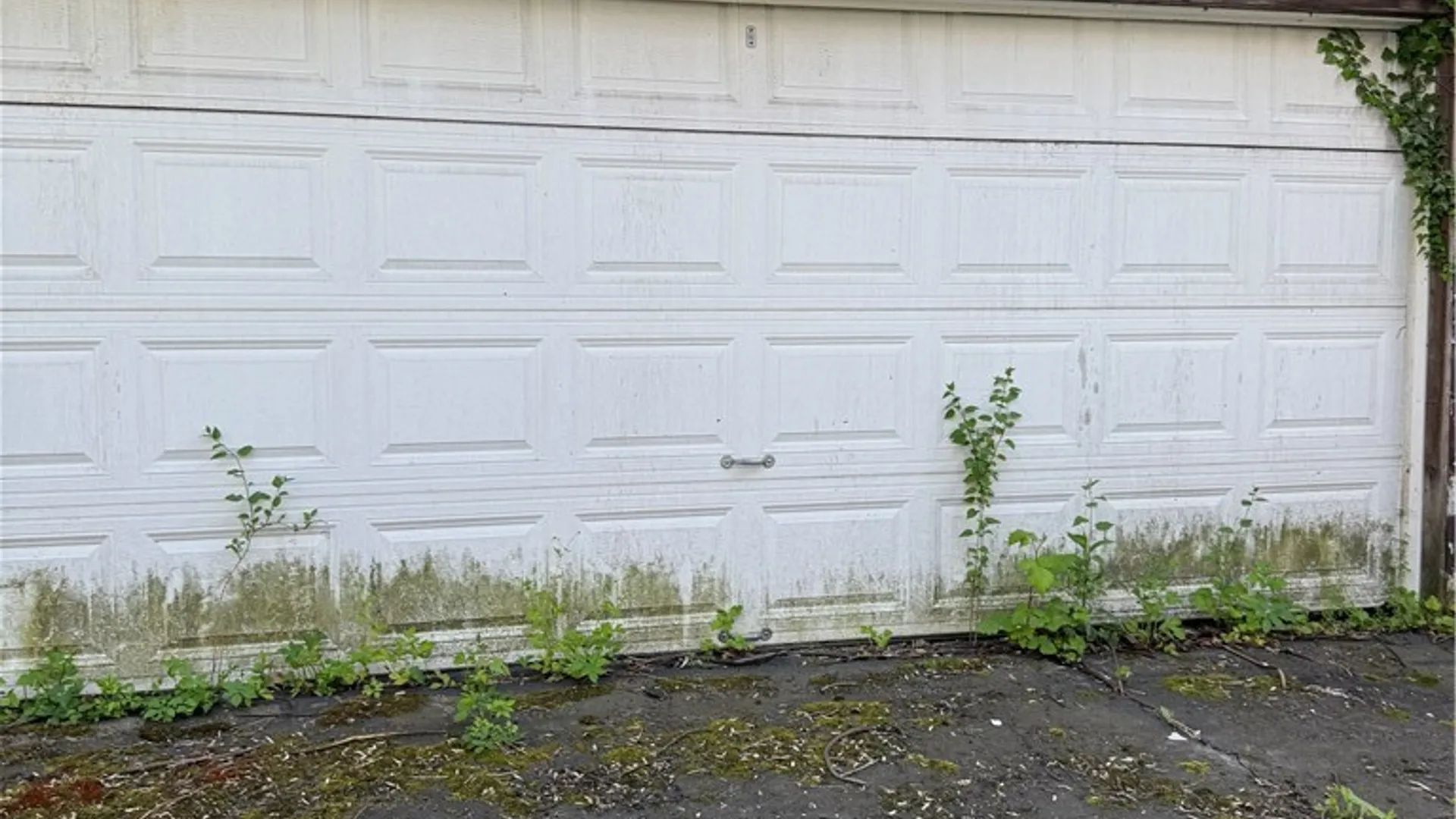 Property at 495 E Ferry Street, Buffalo, NY 14208 2