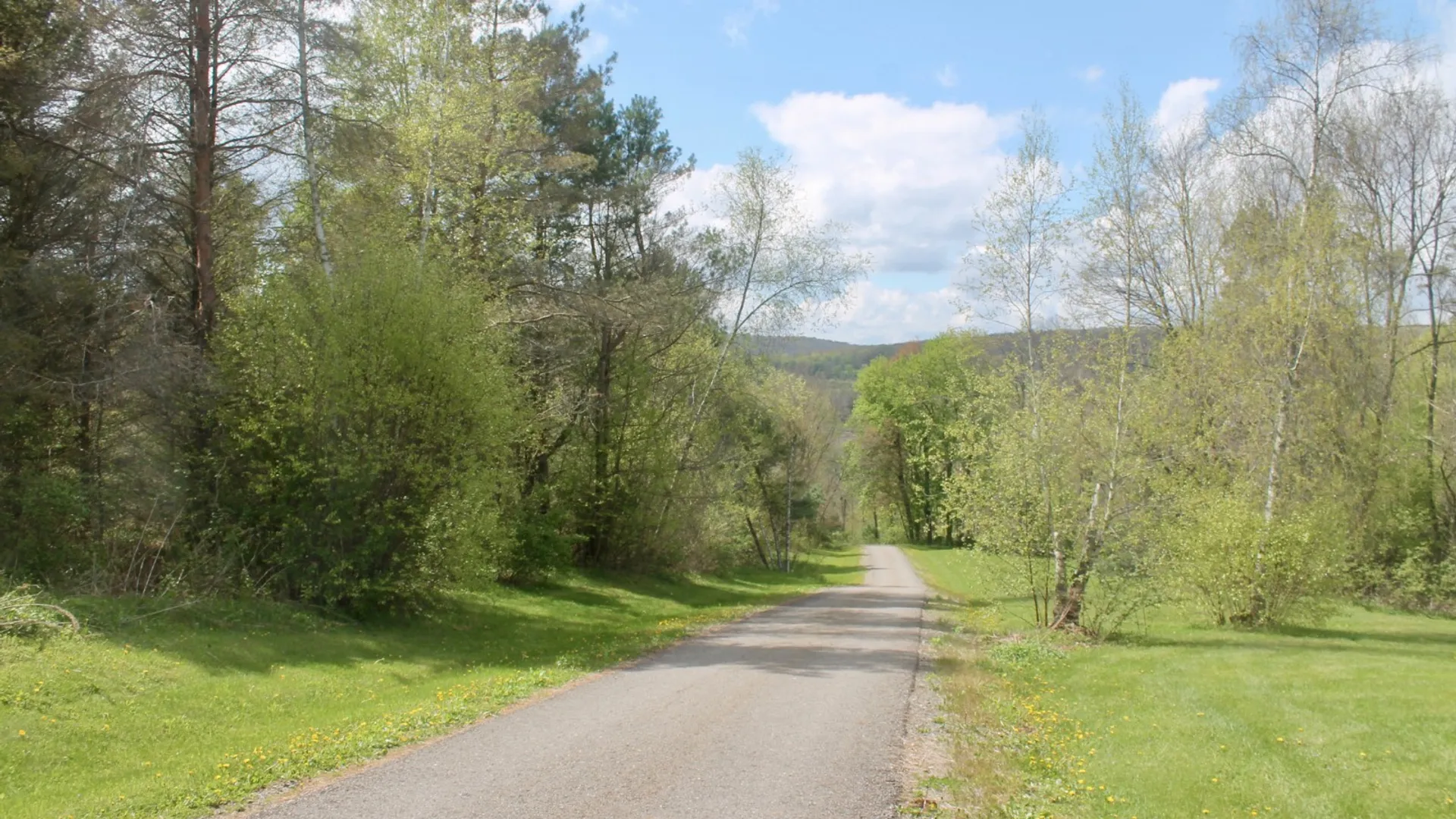 Property at 4492 County Road 32, Oxford, NY 13830 41