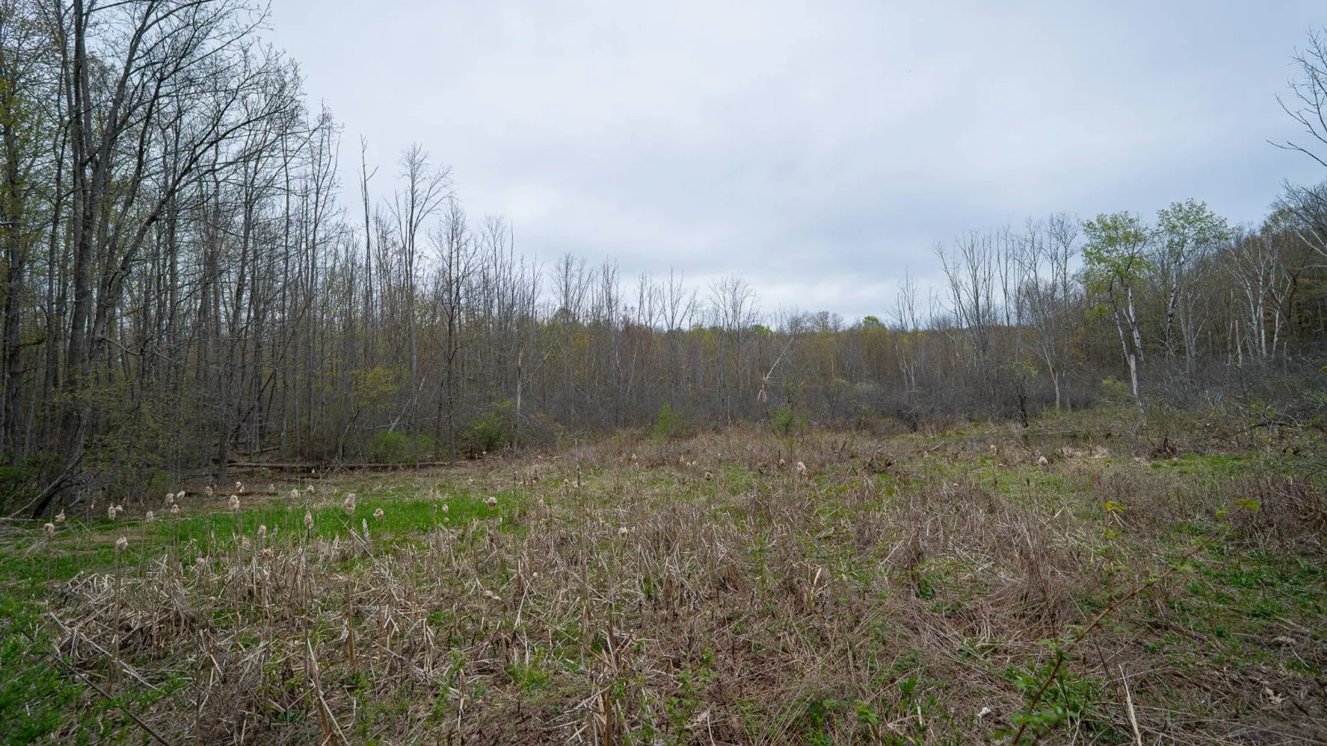 Property at 00WP Podpadic Rd, Richmondville, NY 12149 52