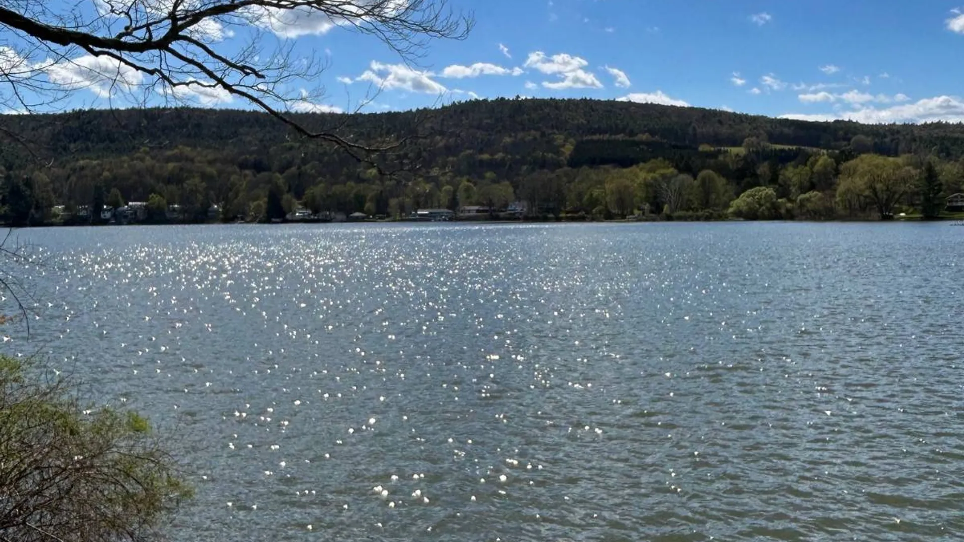 Property at 156 Lake Shore Dr North, Maryland, NY 12116 37
