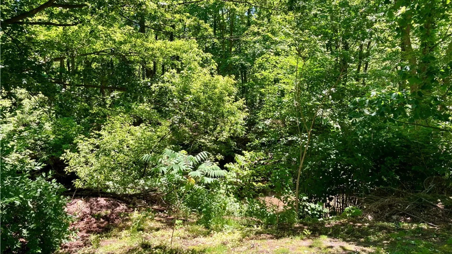 Property at 10296 Ridge Road, Ridgeway, NY 14103 32