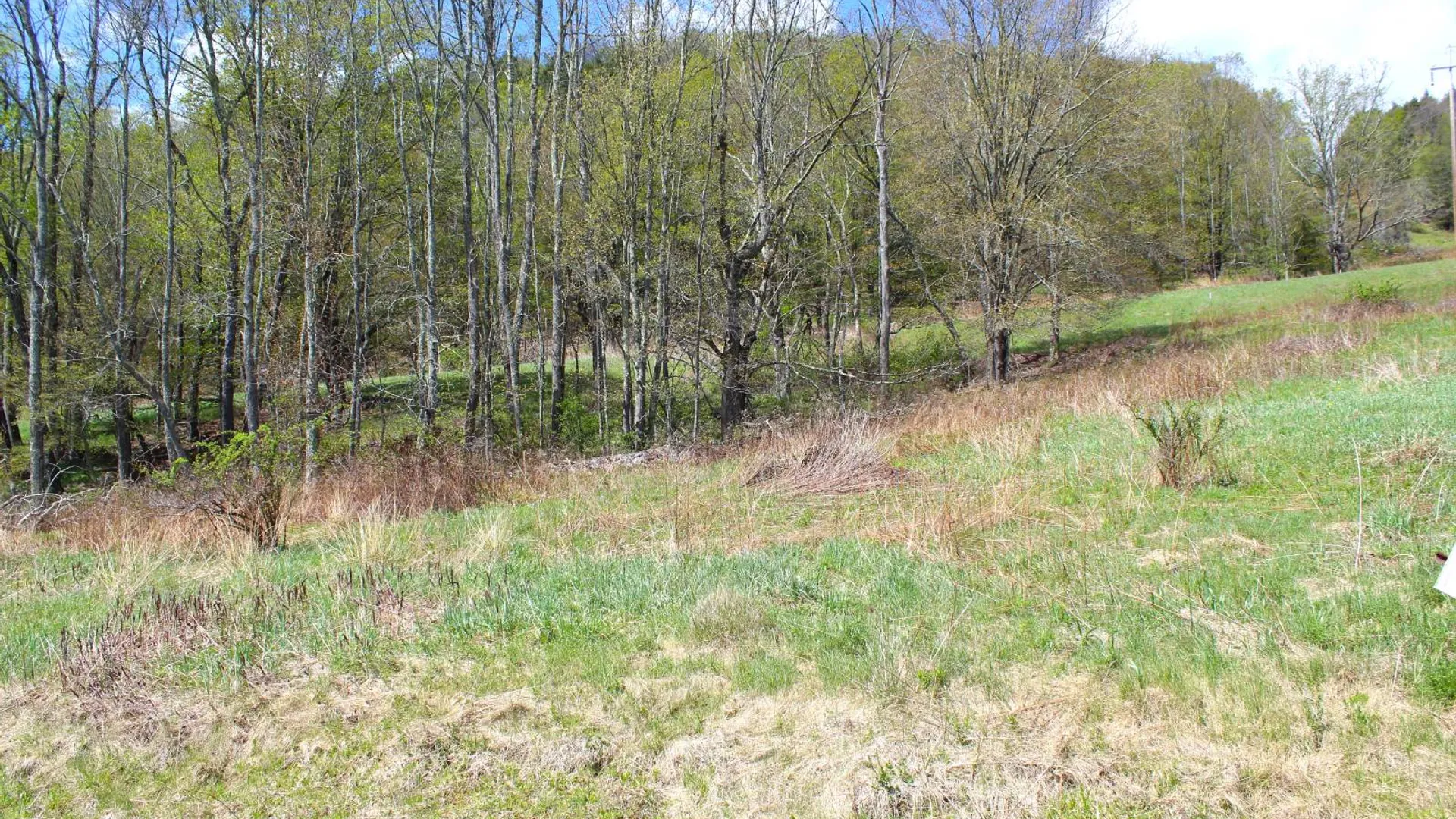 Property at 415 Deer Run Road, Ashlnd, NY 12407 20