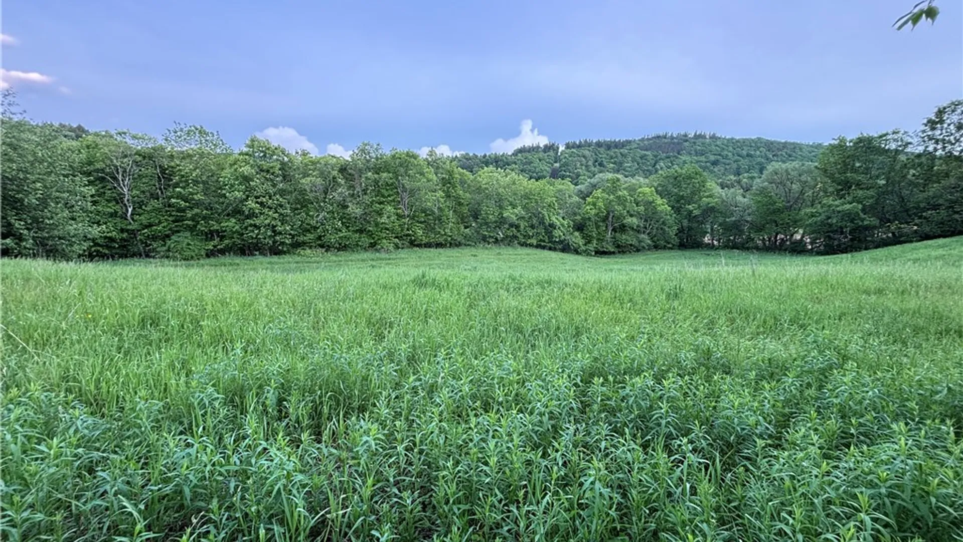 Property at 1738 County Highway 34, Westford, NY 12155 10