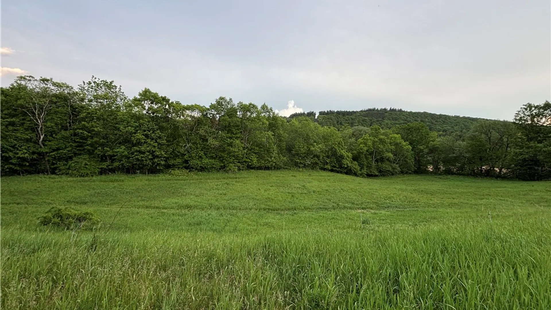 Property at 1738 County Highway 34, Westford, NY 12155 11