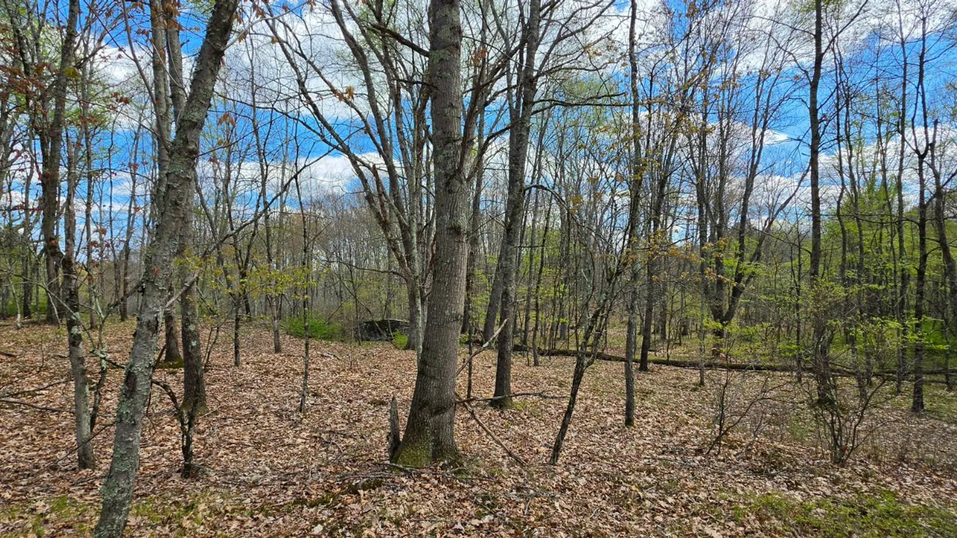Property at Lot 17.14 Skipperene Road, Cochecton, NY 12726 10
