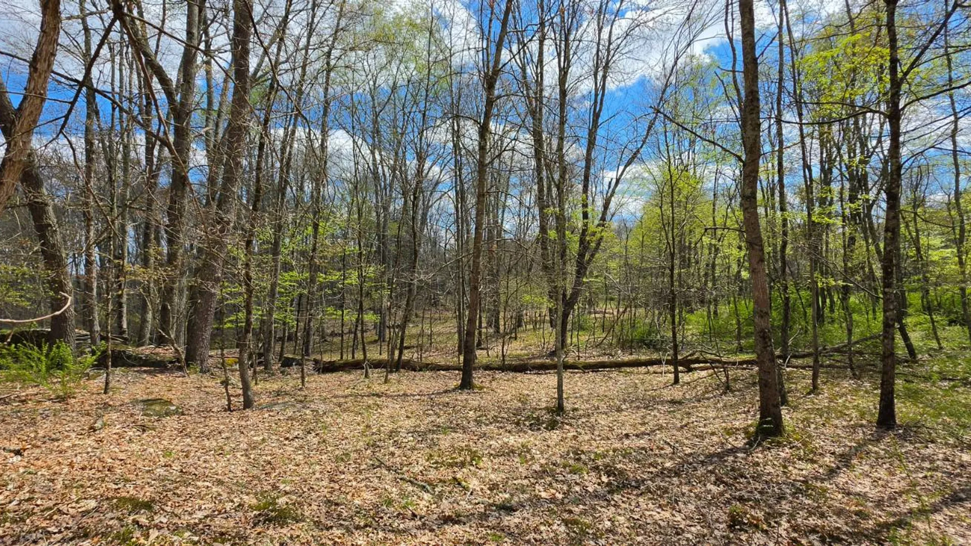 Property at Lot 17.14 Skipperene Road, Cochecton, NY 12726 11