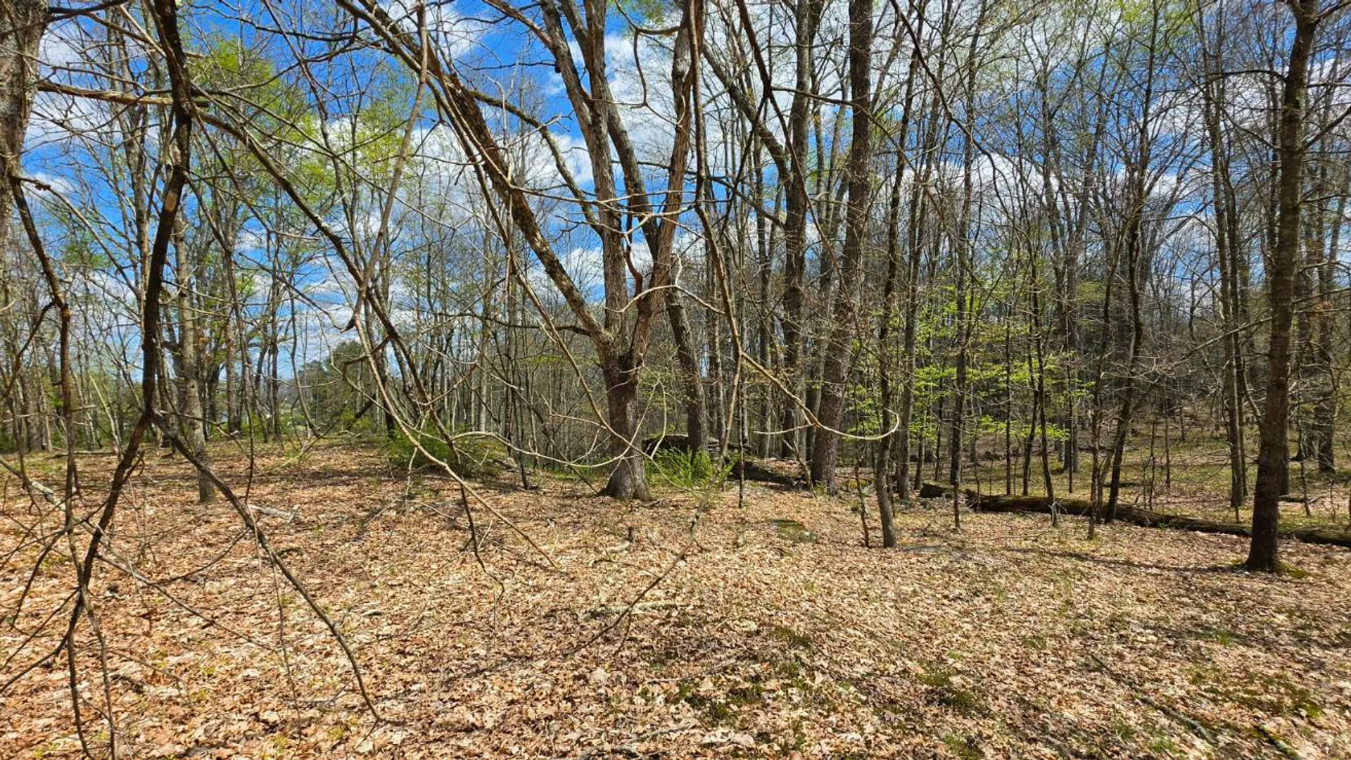 Property at Lot 17.14 Skipperene Road, Cochecton, NY 12726 12