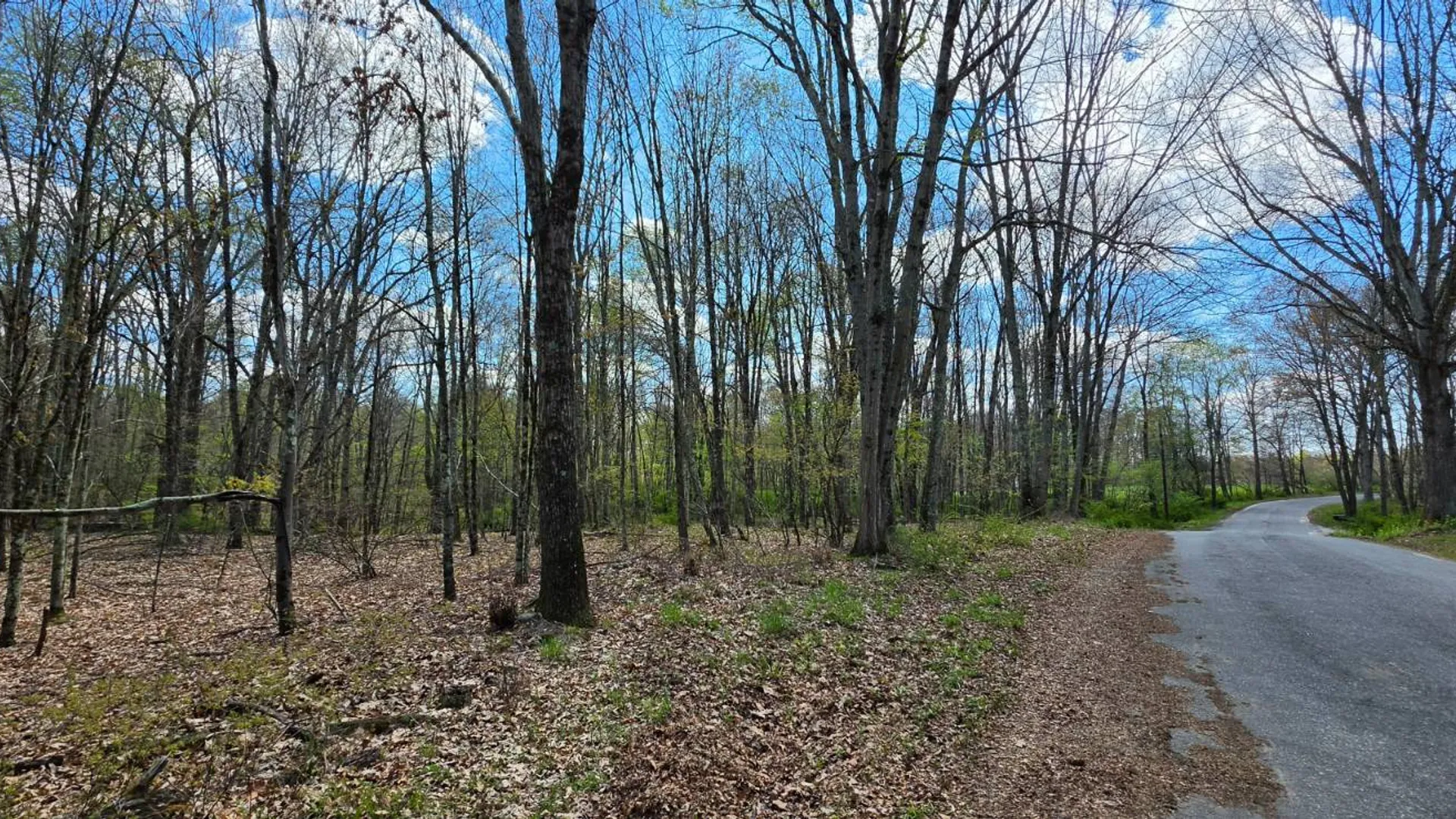 Property at Lot 17.14 Skipperene Road, Cochecton, NY 12726 13