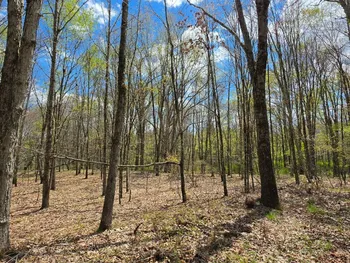 Property at Lot 17.14 Skipperene Road, Cochecton, NY 12726