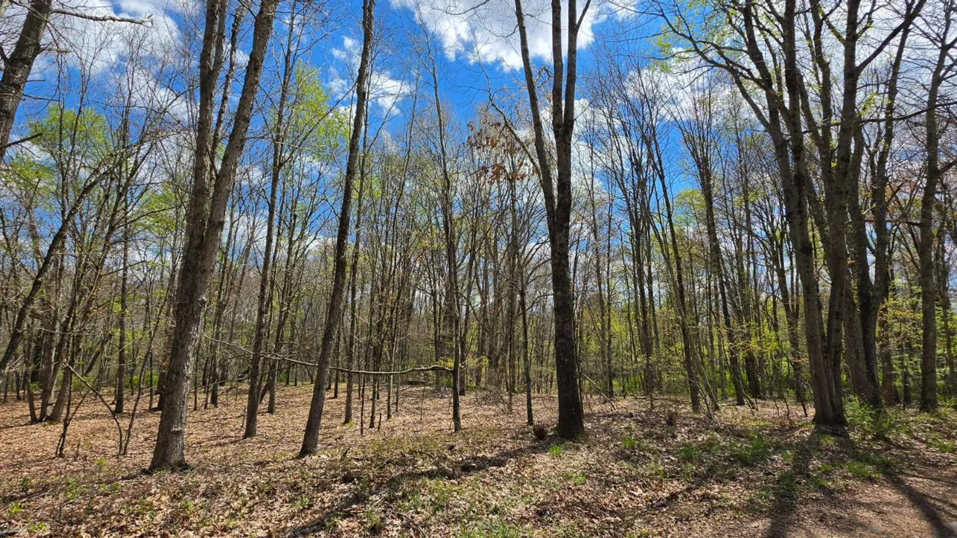Property at Lot 17.14 Skipperene Road, Cochecton, NY 12726 2