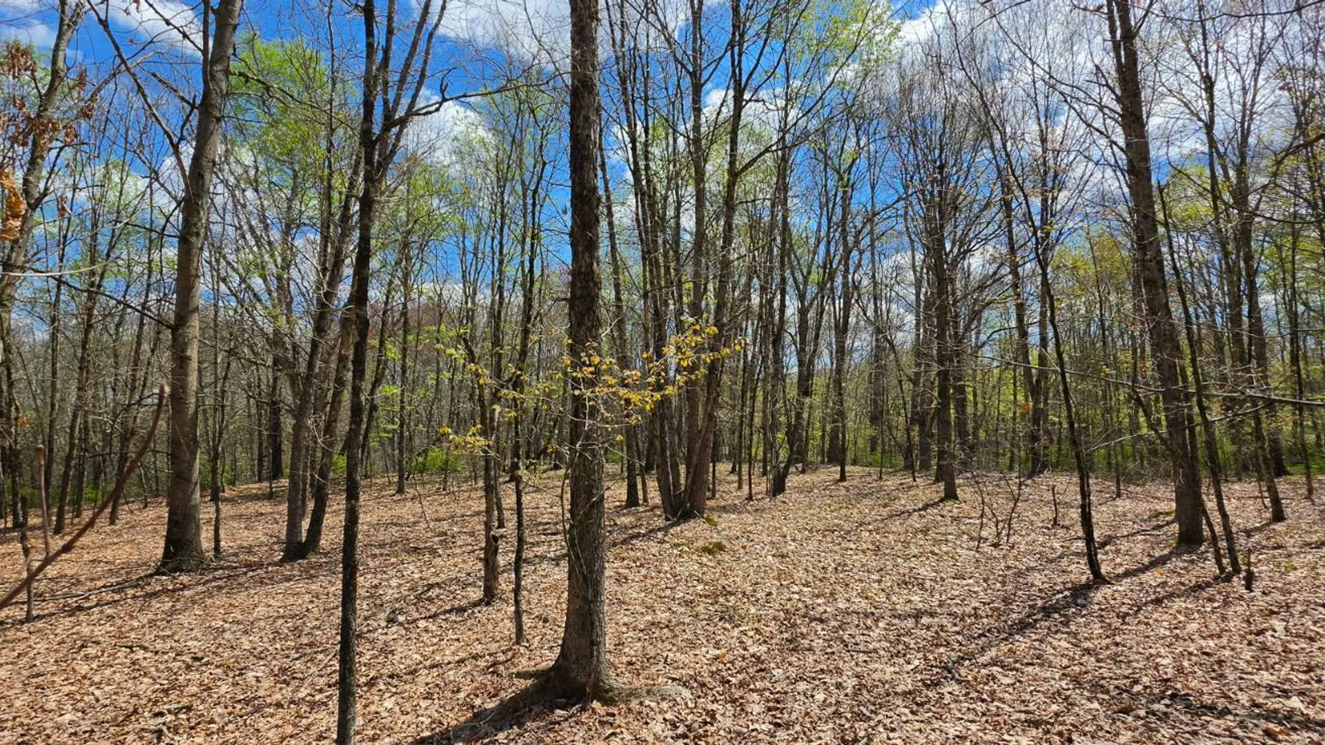 Property at Lot 17.14 Skipperene Road, Cochecton, NY 12726 3