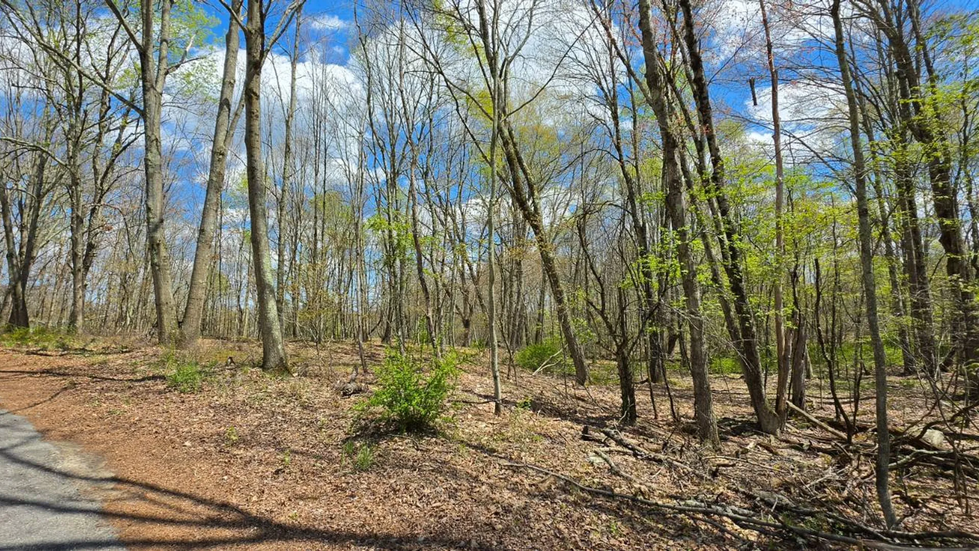 Property at Lot 17.14 Skipperene Road, Cochecton, NY 12726 5