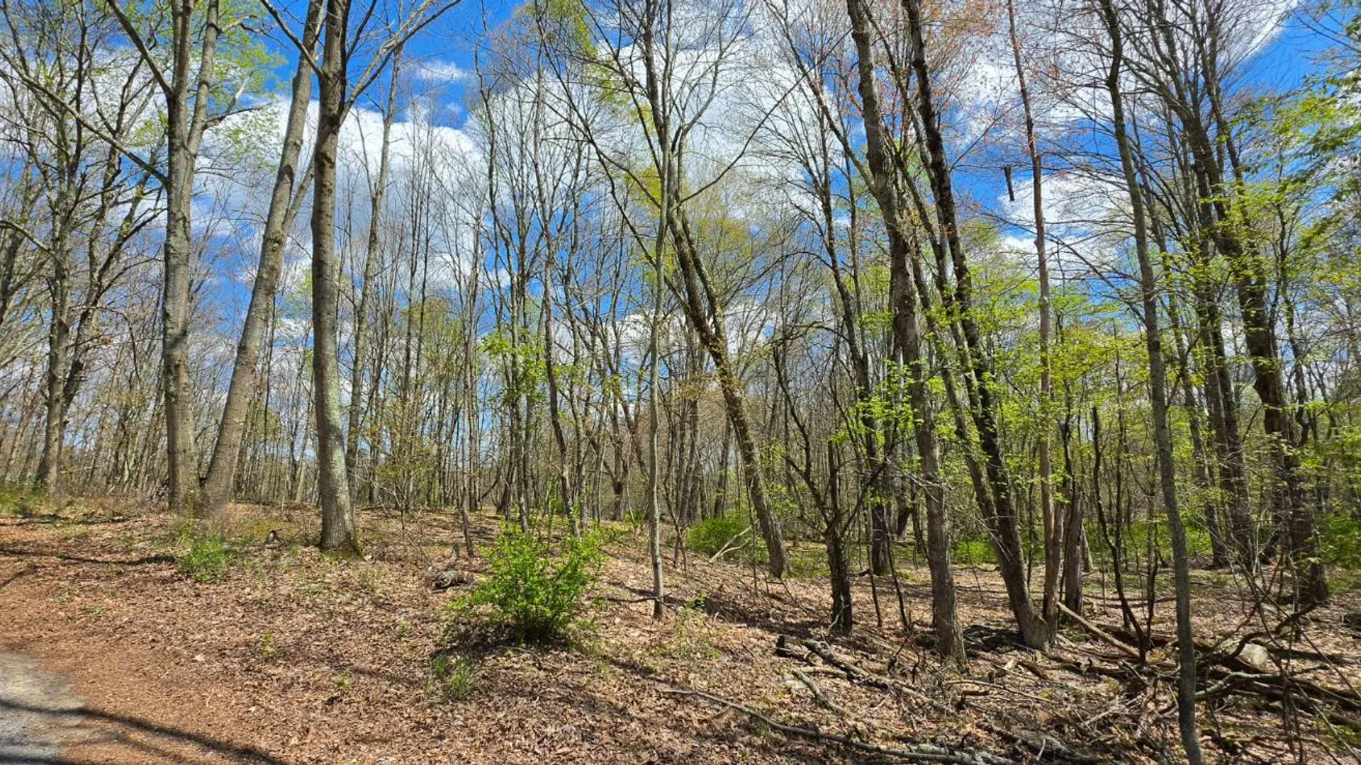 Property at Lot 17.14 Skipperene Road, Cochecton, NY 12726 6