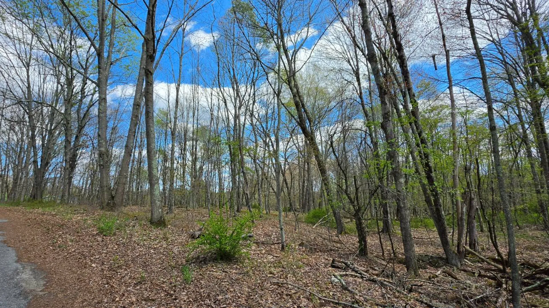 Property at Lot 17.14 Skipperene Road, Cochecton, NY 12726 8