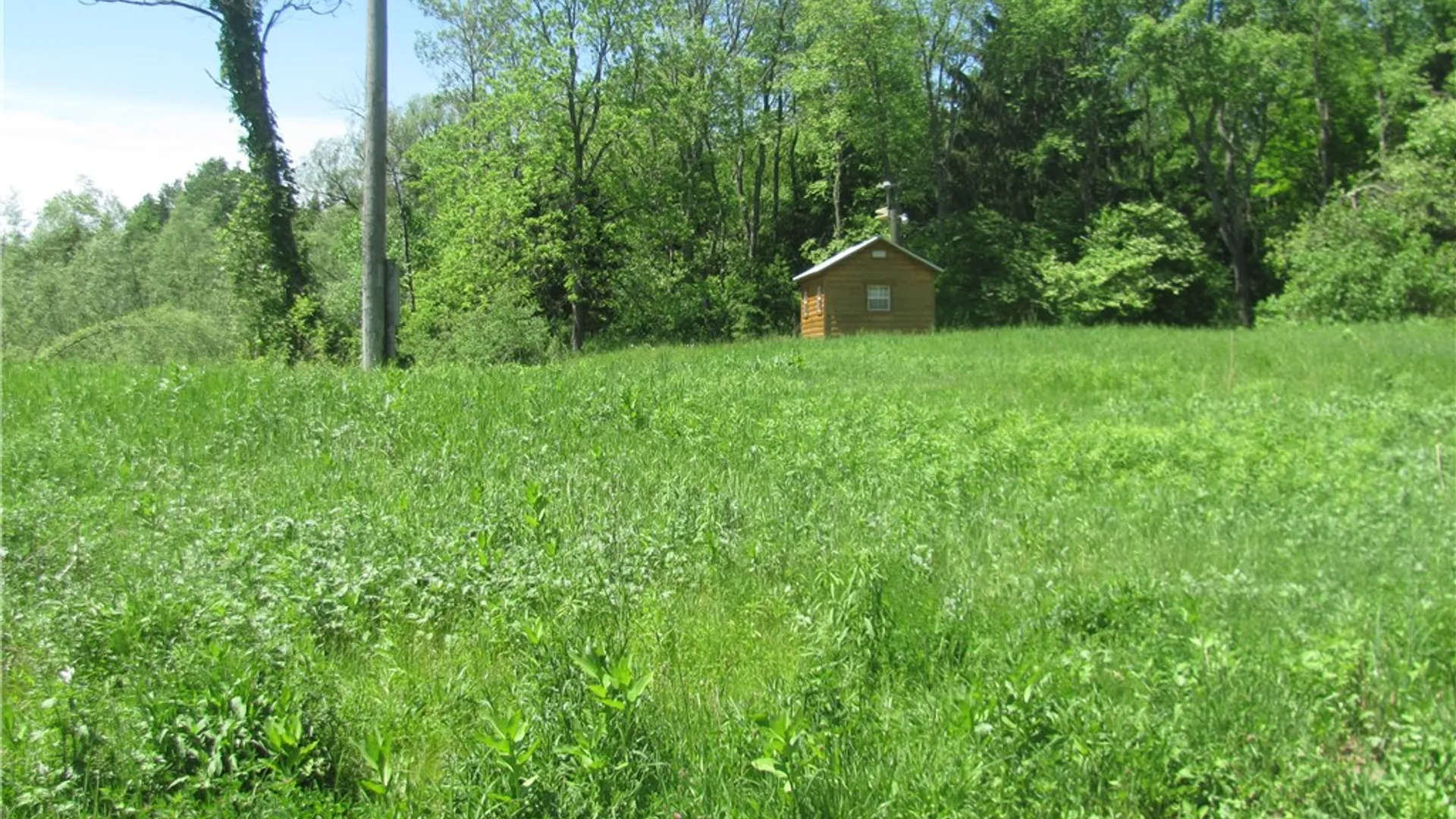 Property at 1369 Military Road, Salisbury, NY 13365 2
