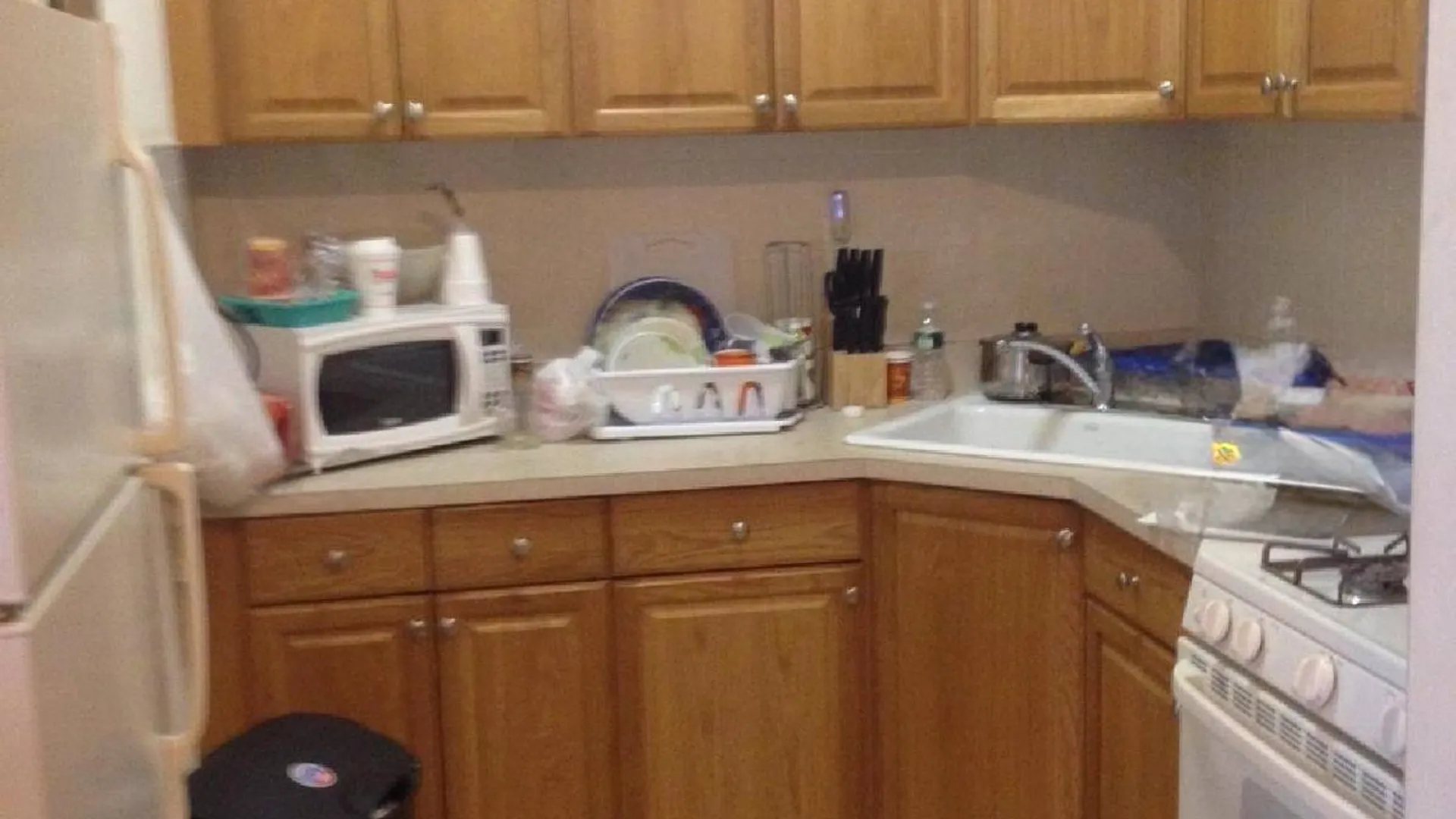 Property at 8217 northern blvd, Jackson Heights, NY 11372 2