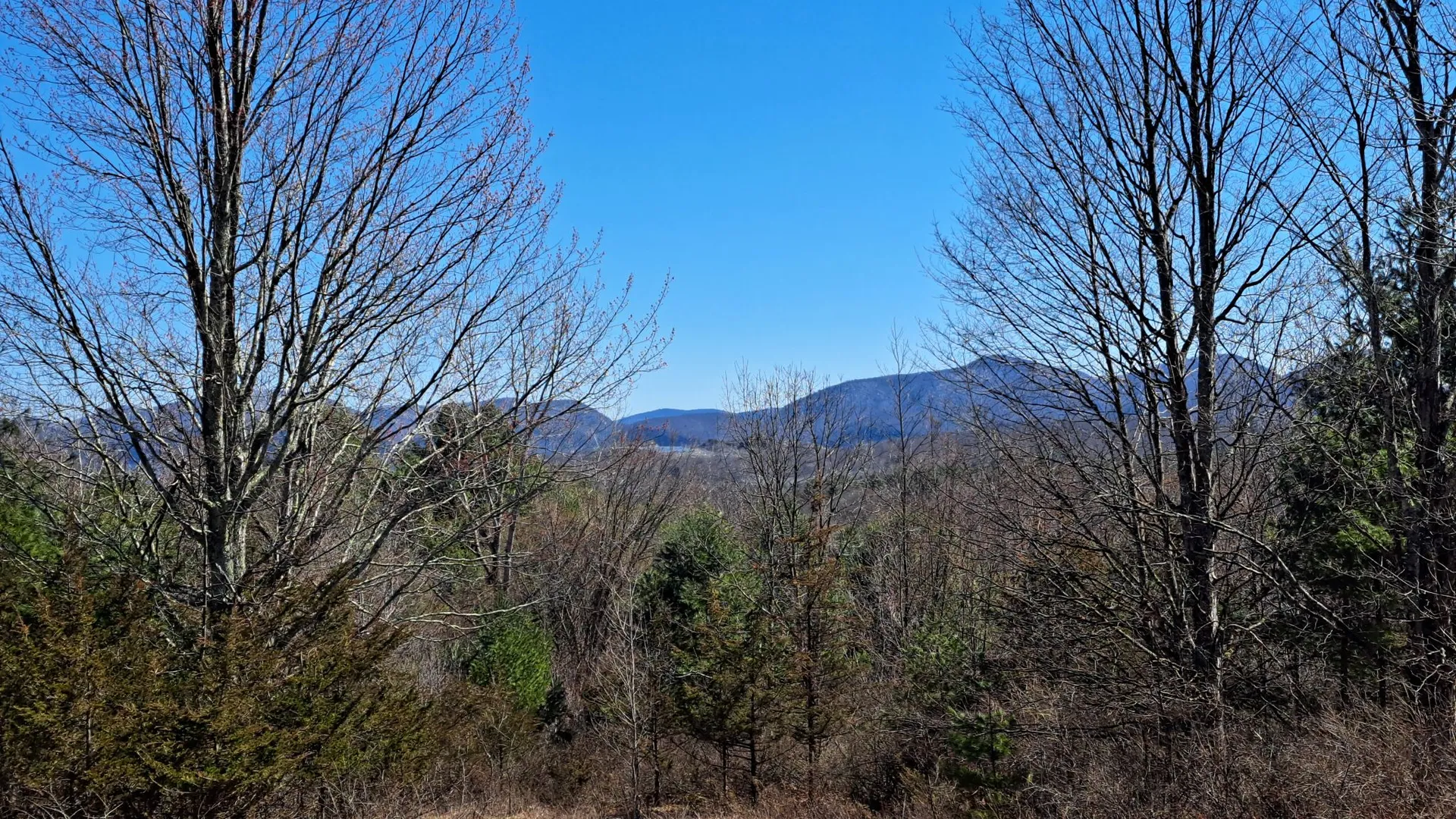 Property at State Route 149, Granville, NY 12832 2