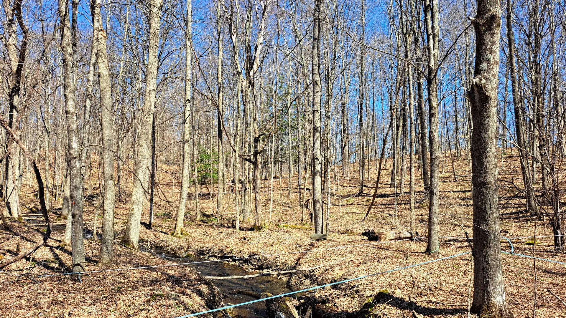 Property at State Route 149, Granville, NY 12832 36
