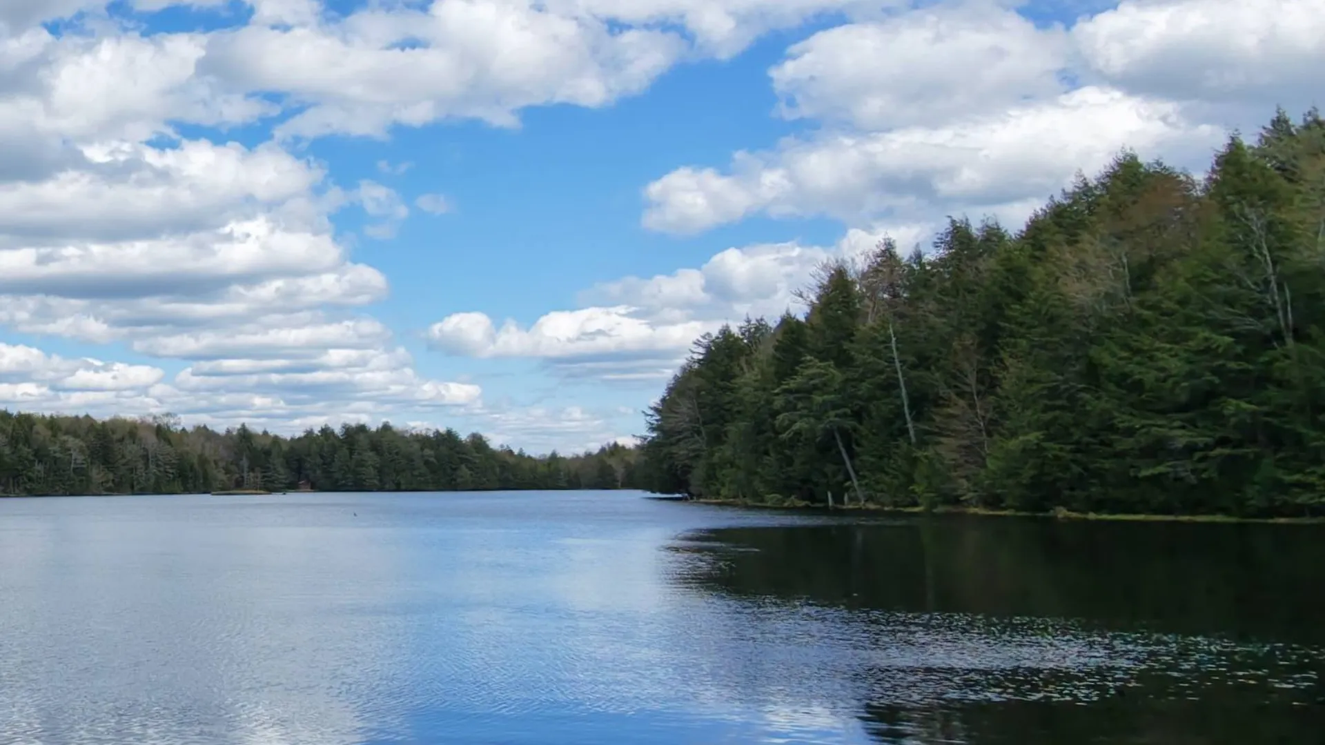 Property at 299 Hilley Rd, Caroga Lake, NY 12095 4