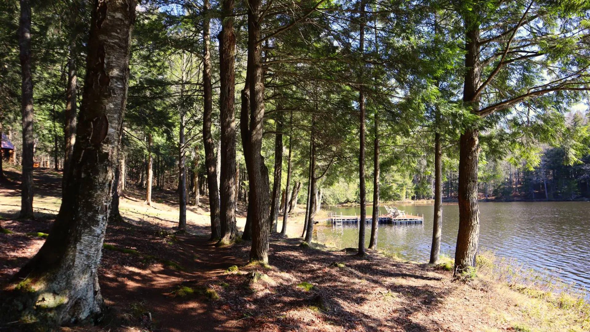 Property at 299 Hilley Rd, Caroga Lake, NY 12095 54