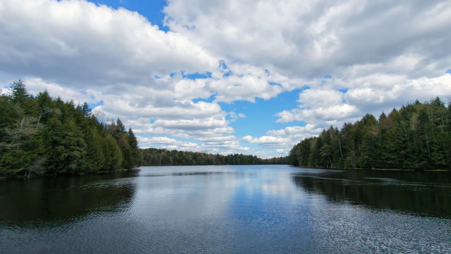 Property at 299 Hilley Rd, Caroga Lake, NY 12095 59