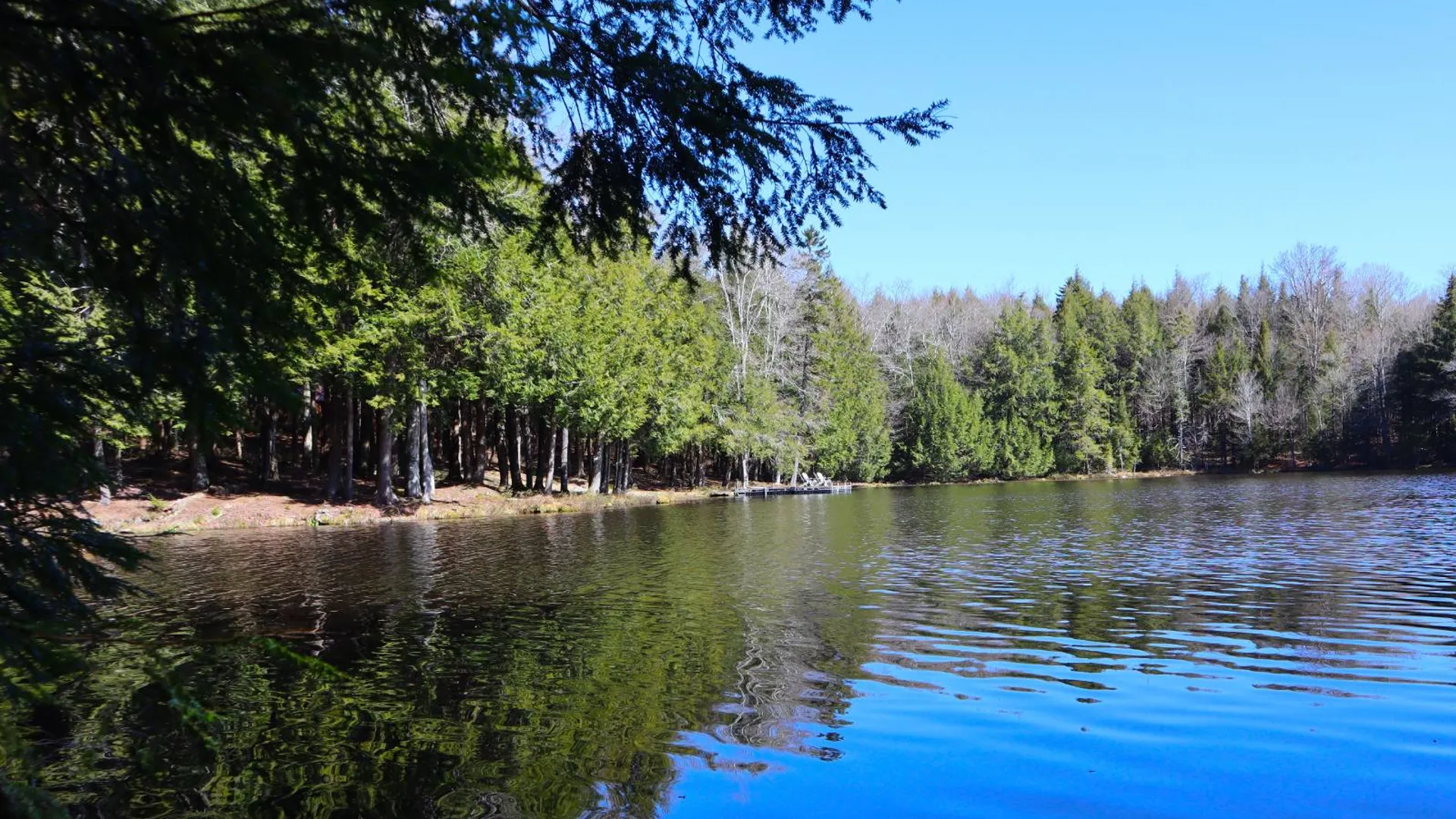 Property at 299 Hilley Rd, Caroga Lake, NY 12095 60