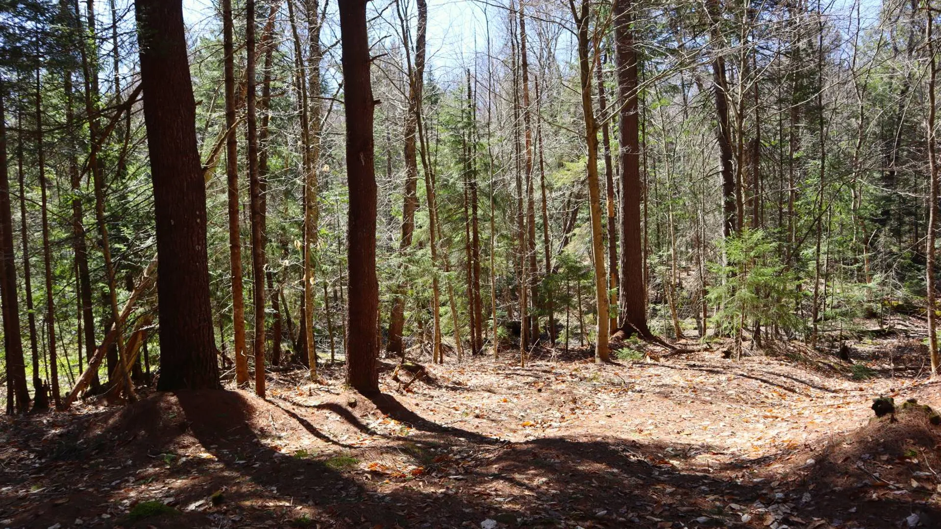 Property at 299 Hilley Rd, Caroga Lake, NY 12095 73