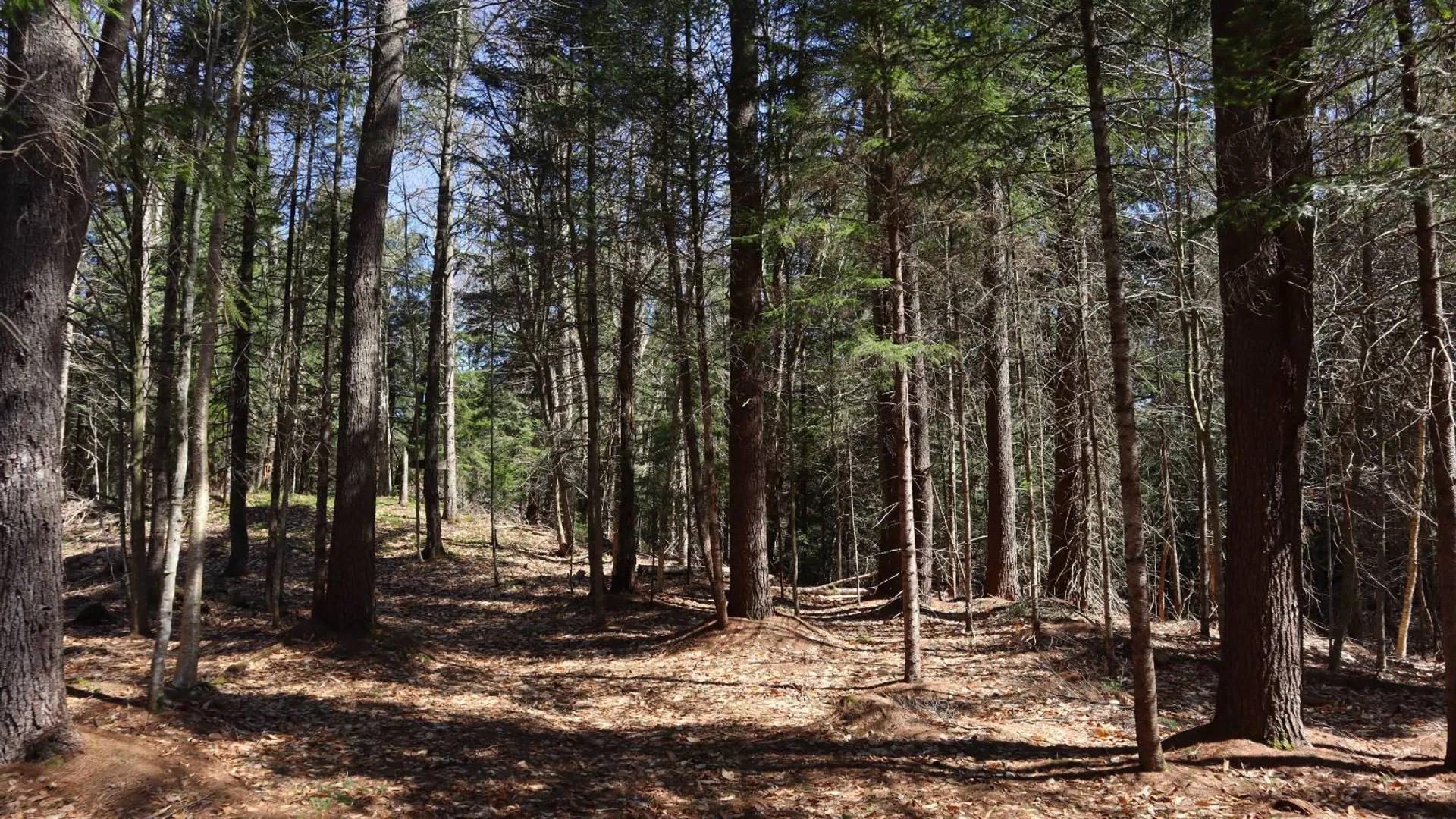 Property at 299 Hilley Rd, Caroga Lake, NY 12095 74