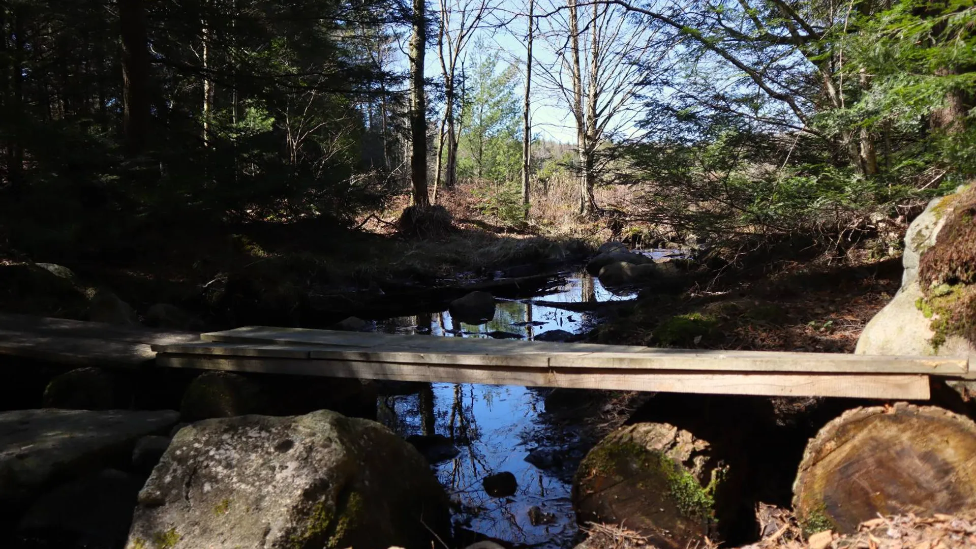 Property at 299 Hilley Rd, Caroga Lake, NY 12095 76