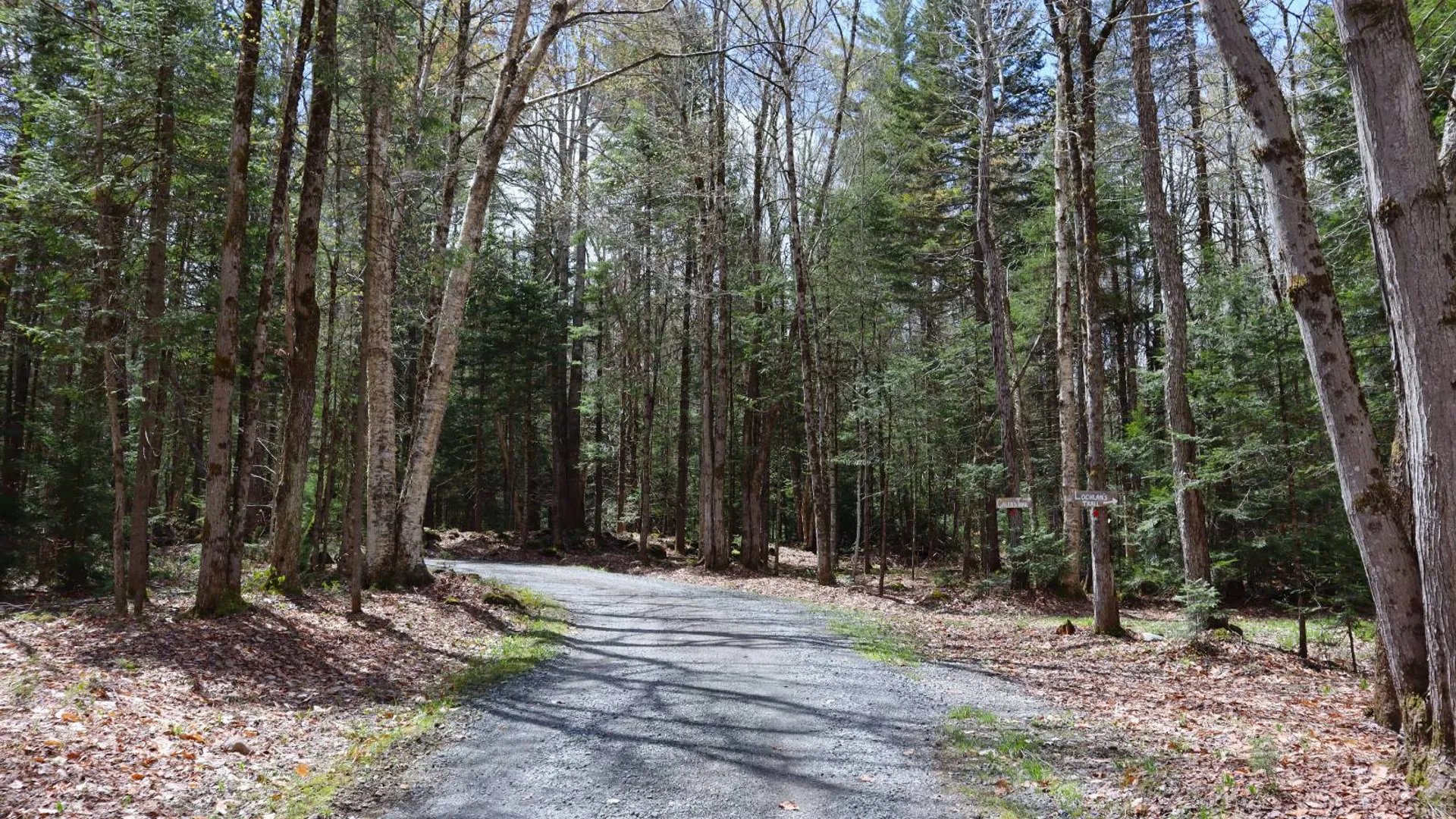 Property at 299 Hilley Rd, Caroga Lake, NY 12095 91