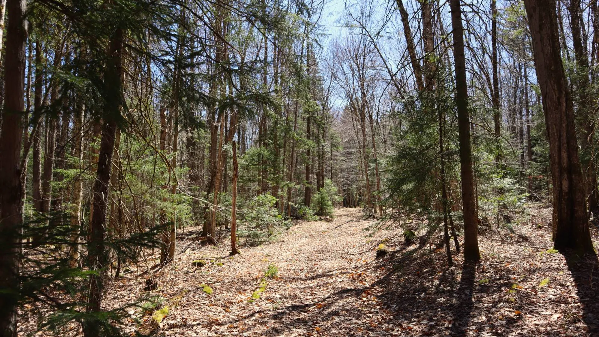 Property at 299 Hilley Rd, Caroga Lake, NY 12095 93