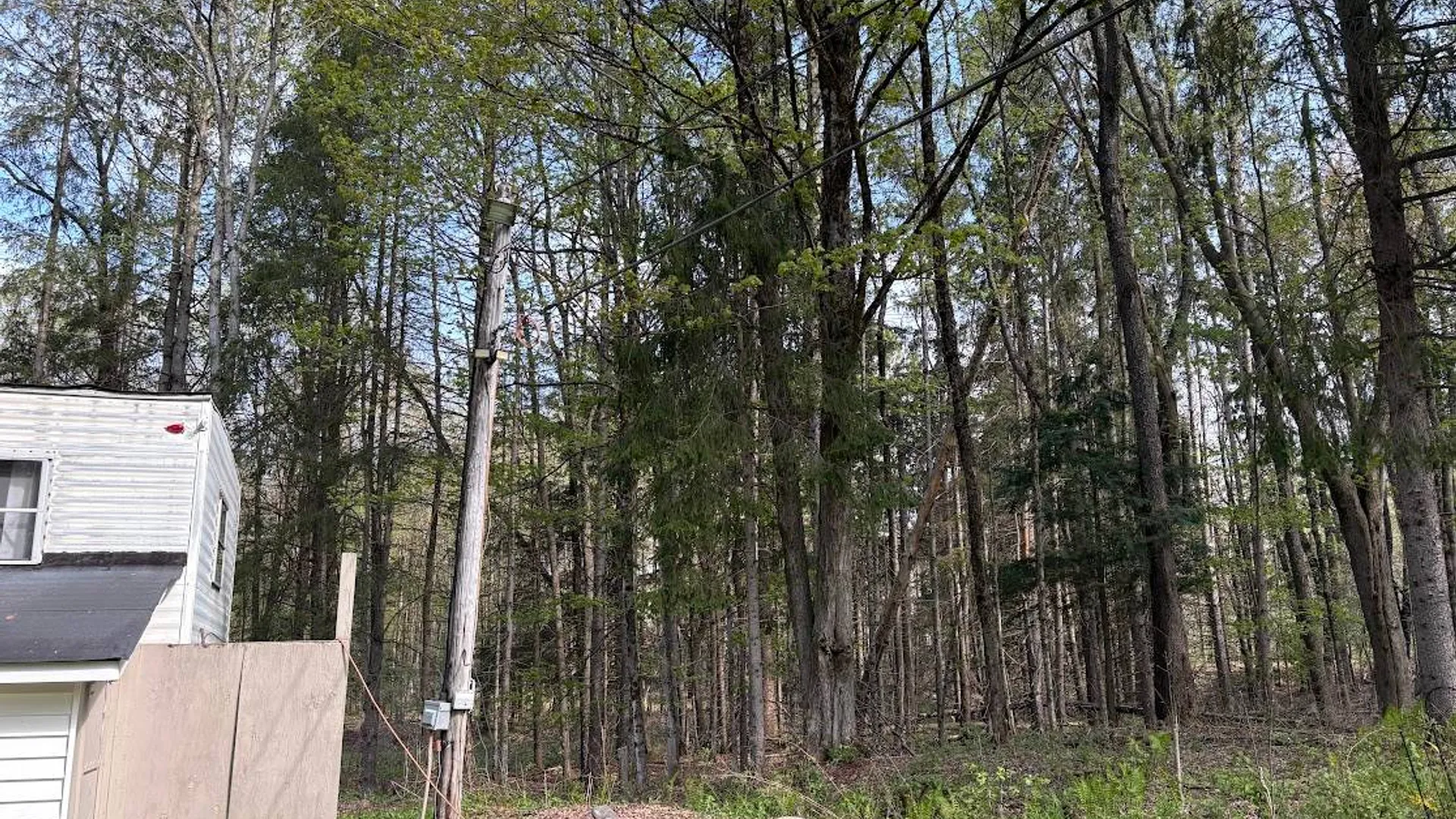 Property at 10827 NYS 365, Remsen, NY 13438 17