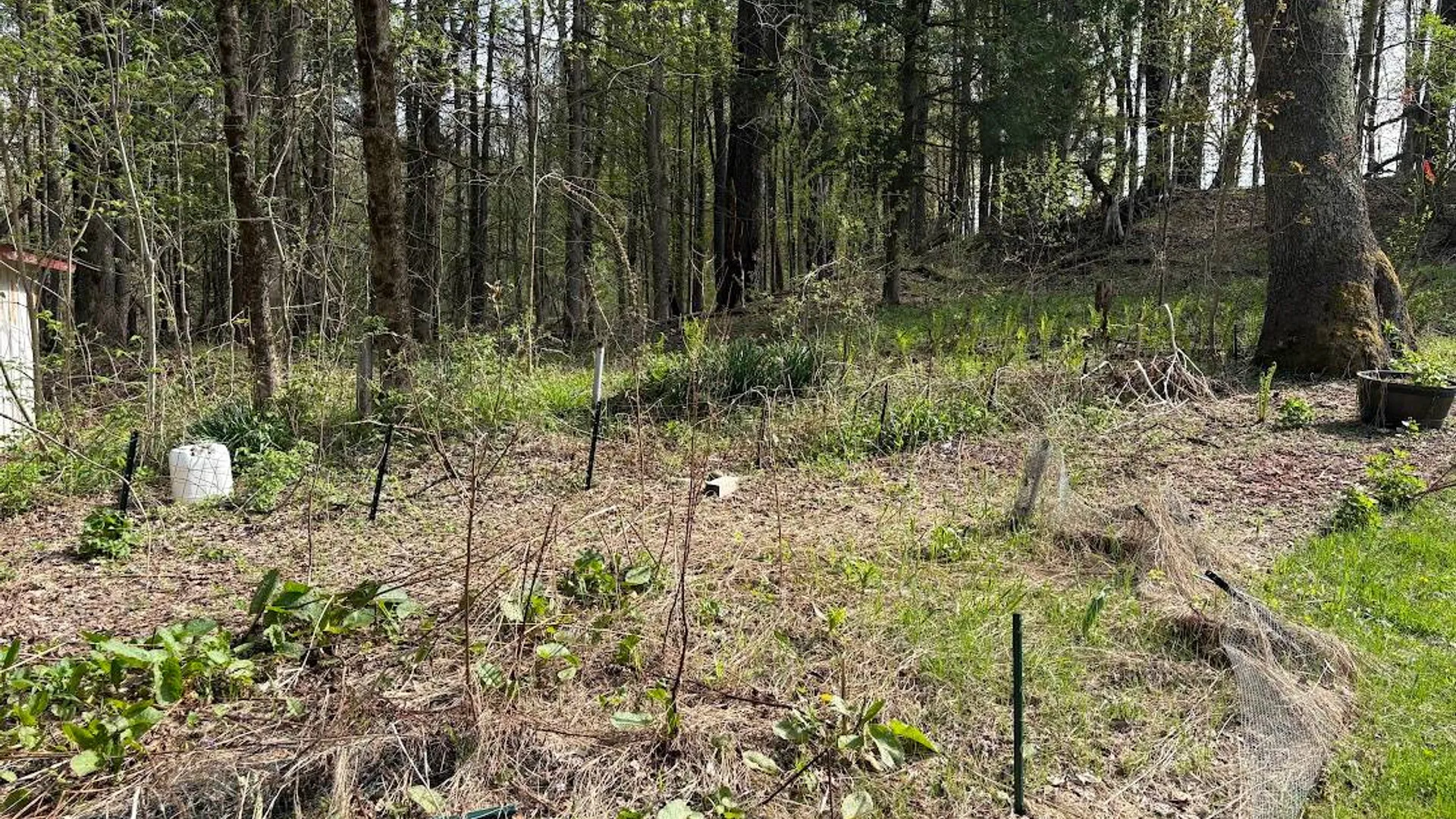 Property at 10827 NYS 365, Remsen, NY 13438 4