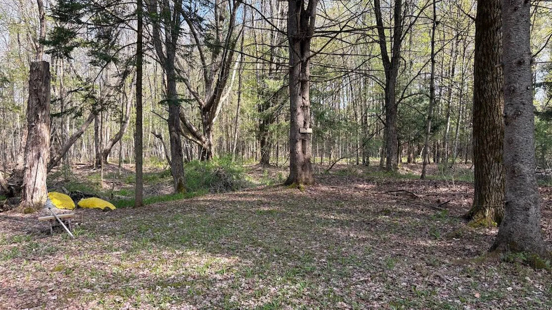 Property at 10827 NYS 365, Remsen, NY 13438 6