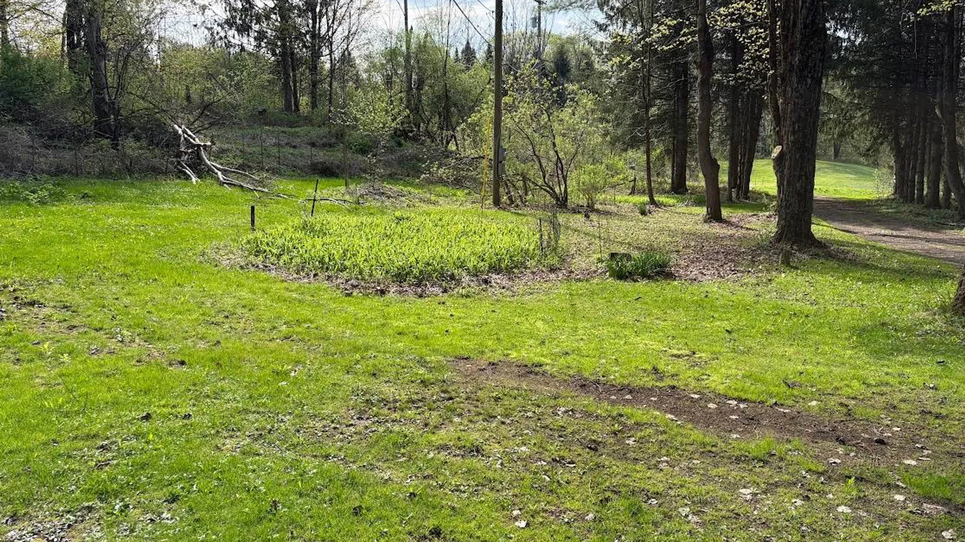 Property at 10827 NYS 365, Remsen, NY 13438 7