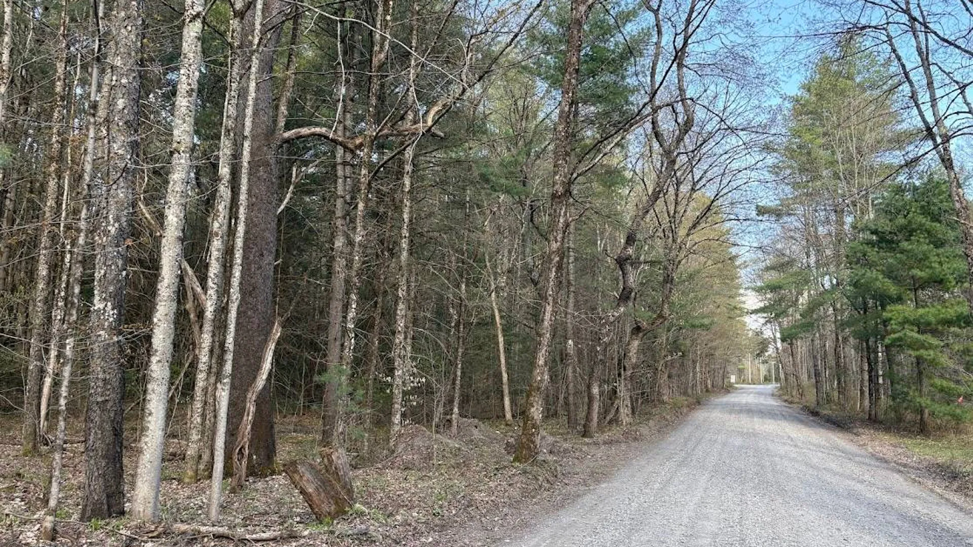 Property at 0 Stormy Hill Rd, Cold Brook, NY 13324 2